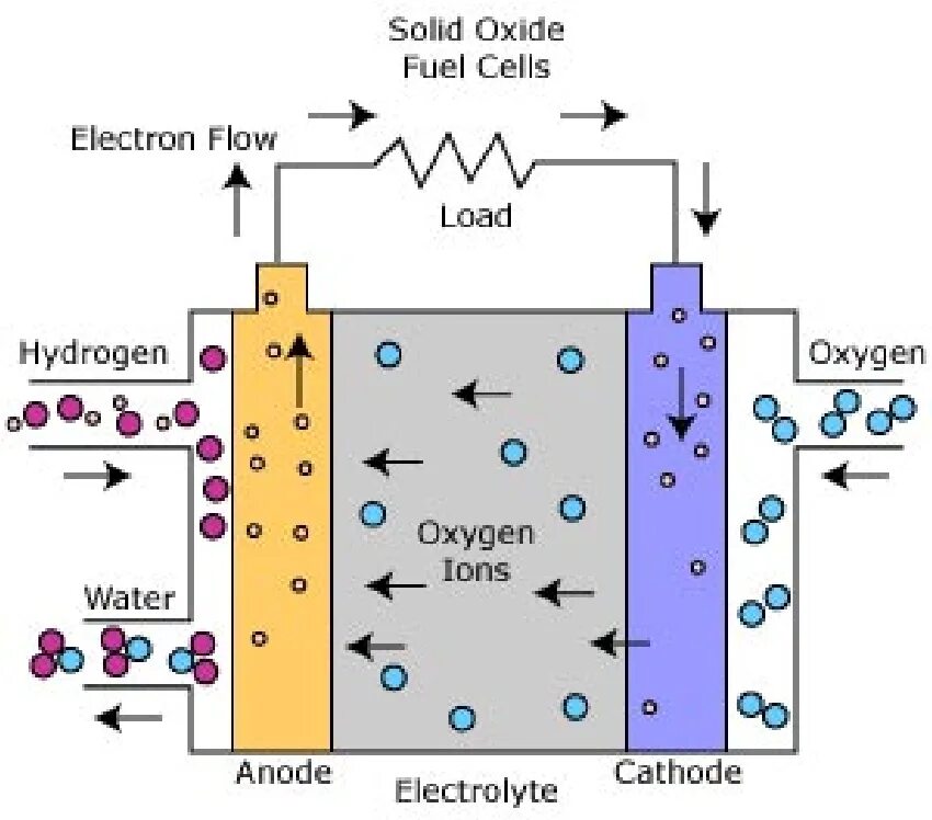 Топливные элементы - ячейка (fuel Cell). Топливный элемент с протонообменной мембраной. Топливный элемент с расплавленным карбонатным электролитом. Принцип работы топливного элемента.