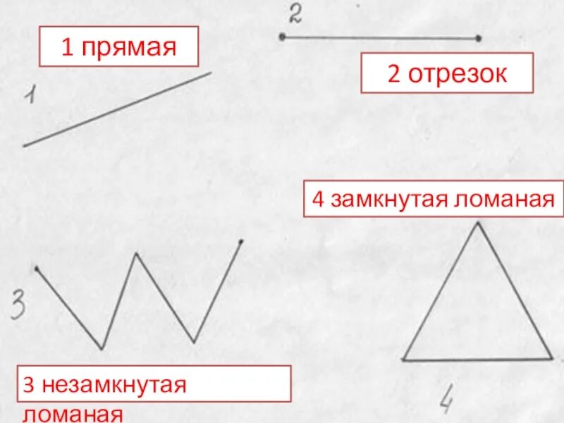 Ломаный отрезок. Прямая ломаная отрезок. Луч отрезок ломаная. Ломаные прямые отрезки.