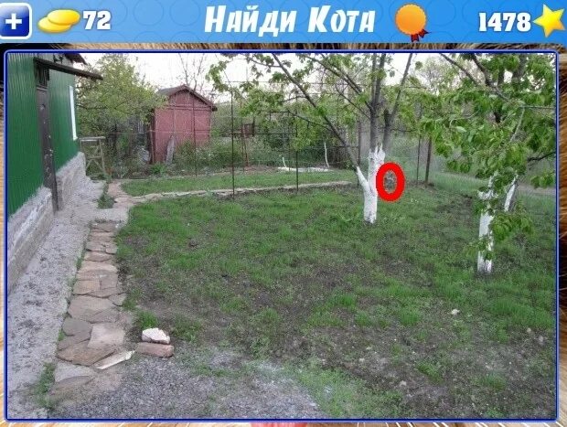 Как узнать где кот. Найти кота на картинке. игра найди кота на картинке. найди кота в доме. найдите кота на картинке.