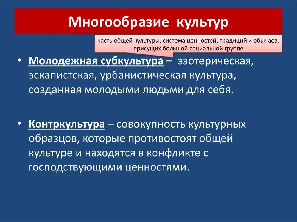 Культурное многообразие доклад