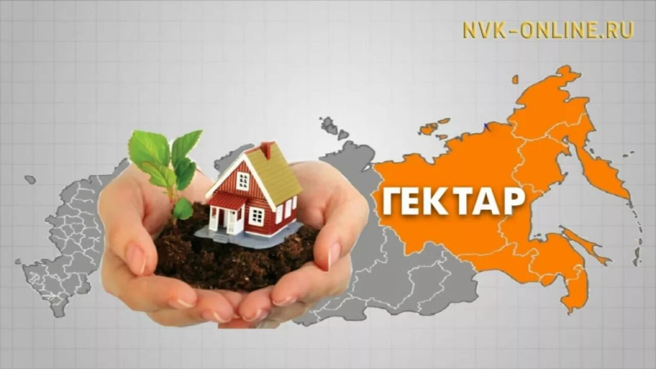 Гектар кредит. Гектар кредит