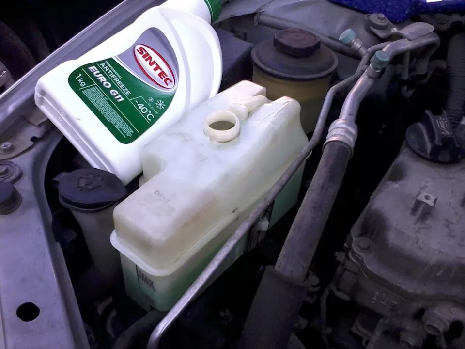 Антифриз ниссан альмера n16. Альмера классик 2006 антифриз. Nissan coolant l248 цвет. Антифриз ниссан альмера классик. Антифриз ниссан альмера g15 артикул.