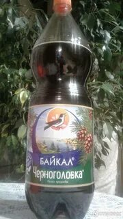 Байкал черноголовка состав