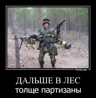 Чем дальше тем лес становился