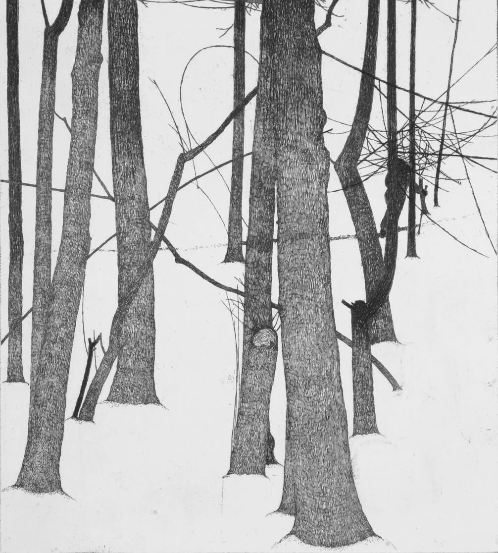 Графический пейзаж тушью. Рисунки тушью и пером. Пейзаж пятнами. Лес тушью. Лес тушью.