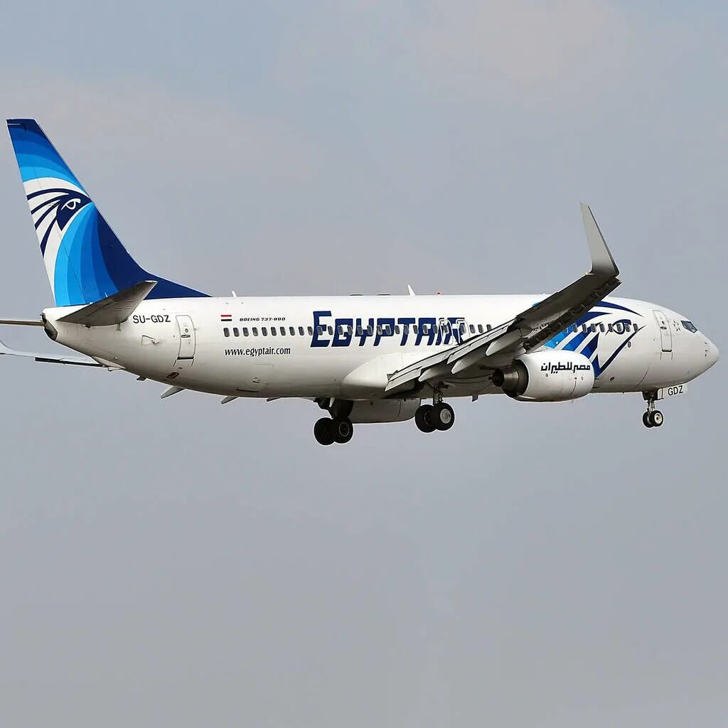 Egyptair купить билет. Боинг 737 Египт Эйр. Египетская авиакомпания. Самолёт Египтэйр. Регулярные рейсы Egypt Air.