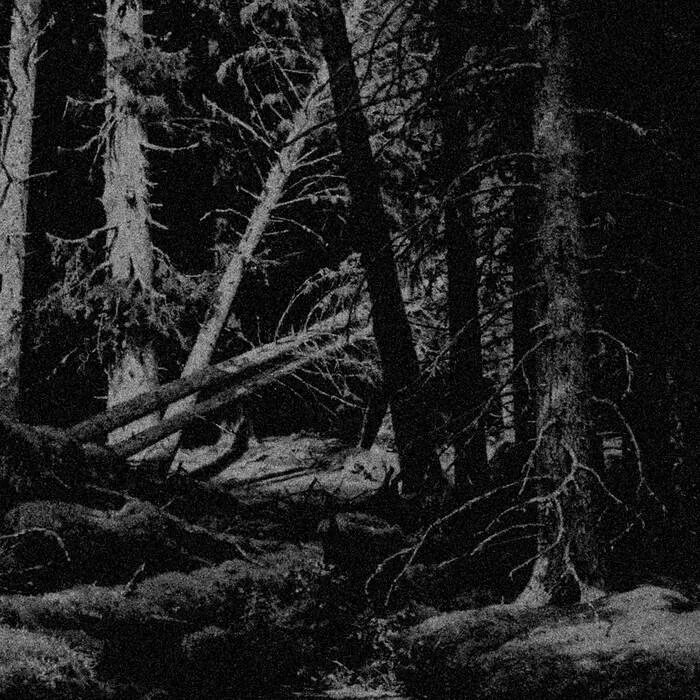 Сума с пеленой enshrouded. Картины дарк Эмбиент. Lustre Band Forest Wanderer. Enshrouded обложка. Swarm Chain - looming Darkness.