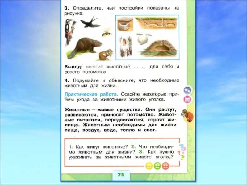 Жила 1 класса