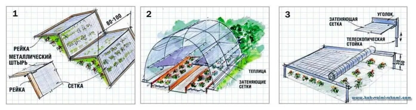 Огурцы температура ночью в теплице