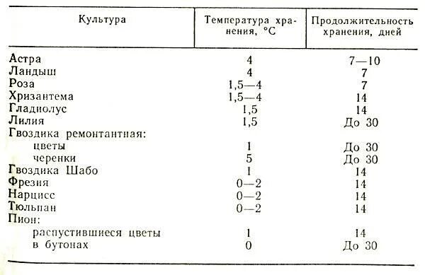 При какой температуре хранить цветы букет