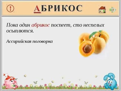 Абрикоса текст