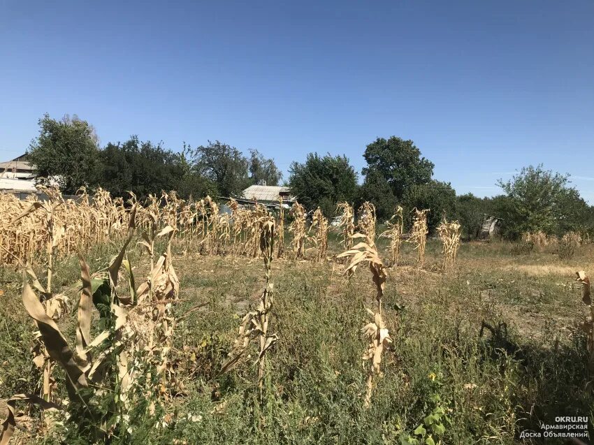 Погода веселое успенского района краснодарского. Х.веселый Краснодарский край Успенский район. Хутор Первокубанский Успенский район. Успенский район Хутор веселый. Хутор весёлый Краснодарский край фото.