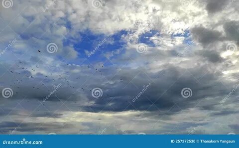 Фоны с дождливым небом: настроение и атмосферные фотографии 