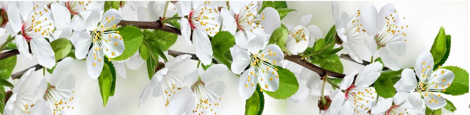 Lr754 батарейка. Декоративная теплоизолирующая панель zodiac ag5-008a мозаика. Батарейка лр 754. Ag 05. Lr754 батарейка.