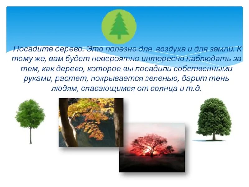 Польза деревьев. Чем полезно дерево проект. Польза деревьев в природе. Польза деревьев для человека. Имена обозначающие дерево
