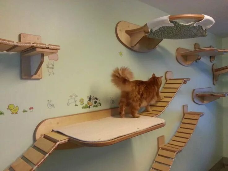 Cat playground