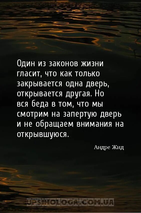 4 закона жизни. Красивые цитаты про мечты. Цитаты о мечте со смыслом. Любовь это купание нужно либо нырять с головой. Про мечты красивые высказывания.