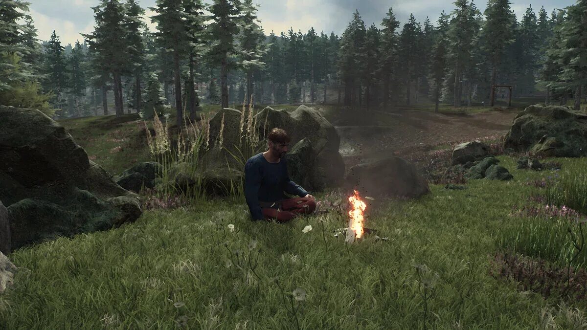 Dinosis survival 2. Игры на пк на природе. Игры с красивой природой. Ведьмак 3 лес. Игры про средневековье с открытым миром.