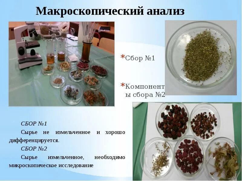 Товароведческий анализ лекарственного растительного сырья. Методы анализа лекарственного растительного сырья. Схема проведения фармакогностического анализа лрс. Исследования лекарственного растительного сырья. Доброкачественность лекарственного растительного сырья это.