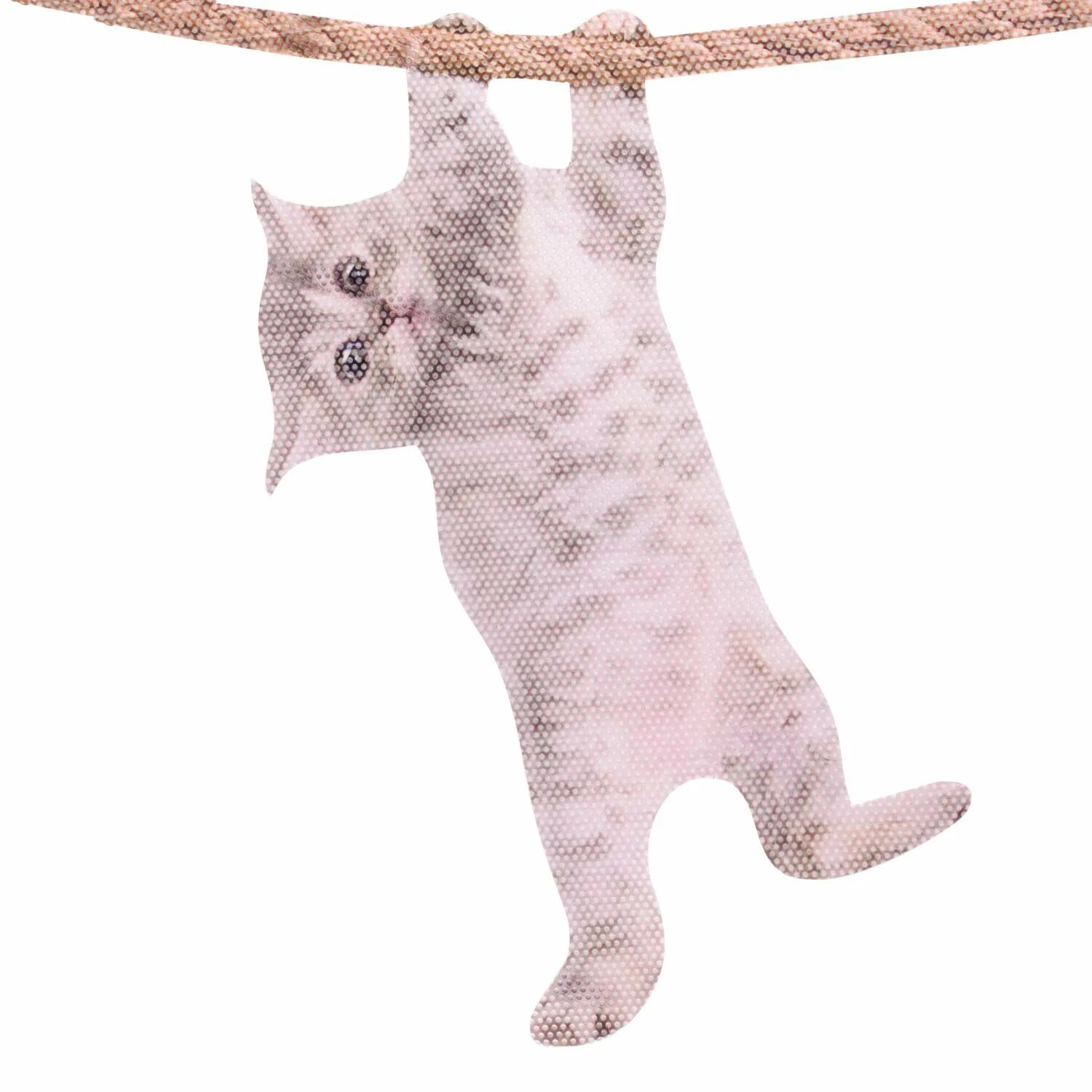 Повешенные кошки. Кот hang in thaere :d. Картинка с котиком hang up.