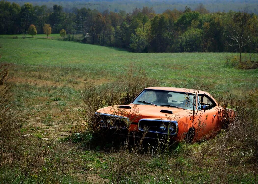 Нэш купе 1940. Очиститель смолы для водоподготовки. Rusted out. Truck mechanic simulator 2018. Старая разбитая машина.