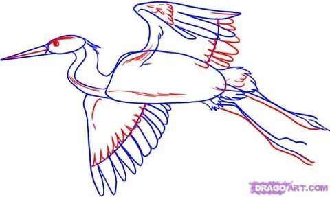 Как нарисовать белого журавля