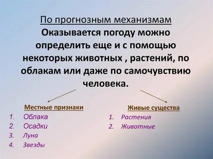 То что необходимо распознать