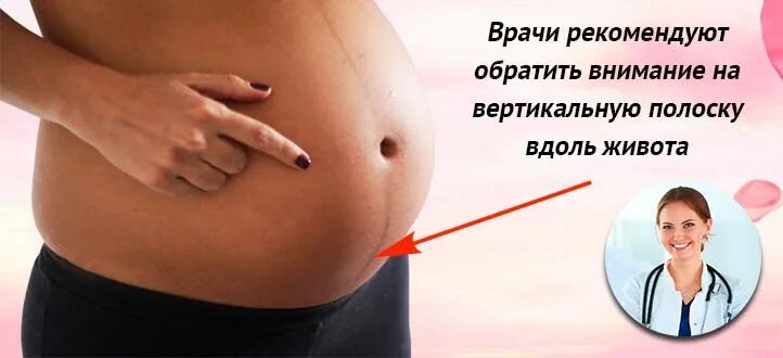 Как отличить беременный живот. Как отличить беременный живот