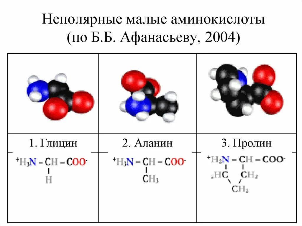 Полярные и неполярные аминокислоты. Неполярные алифатические аминокислоты. гидрофобные и гидрофильные аминокислоты. неполярные гидрофобные аминокислоты. аминокислоты с неполярными радикалами.