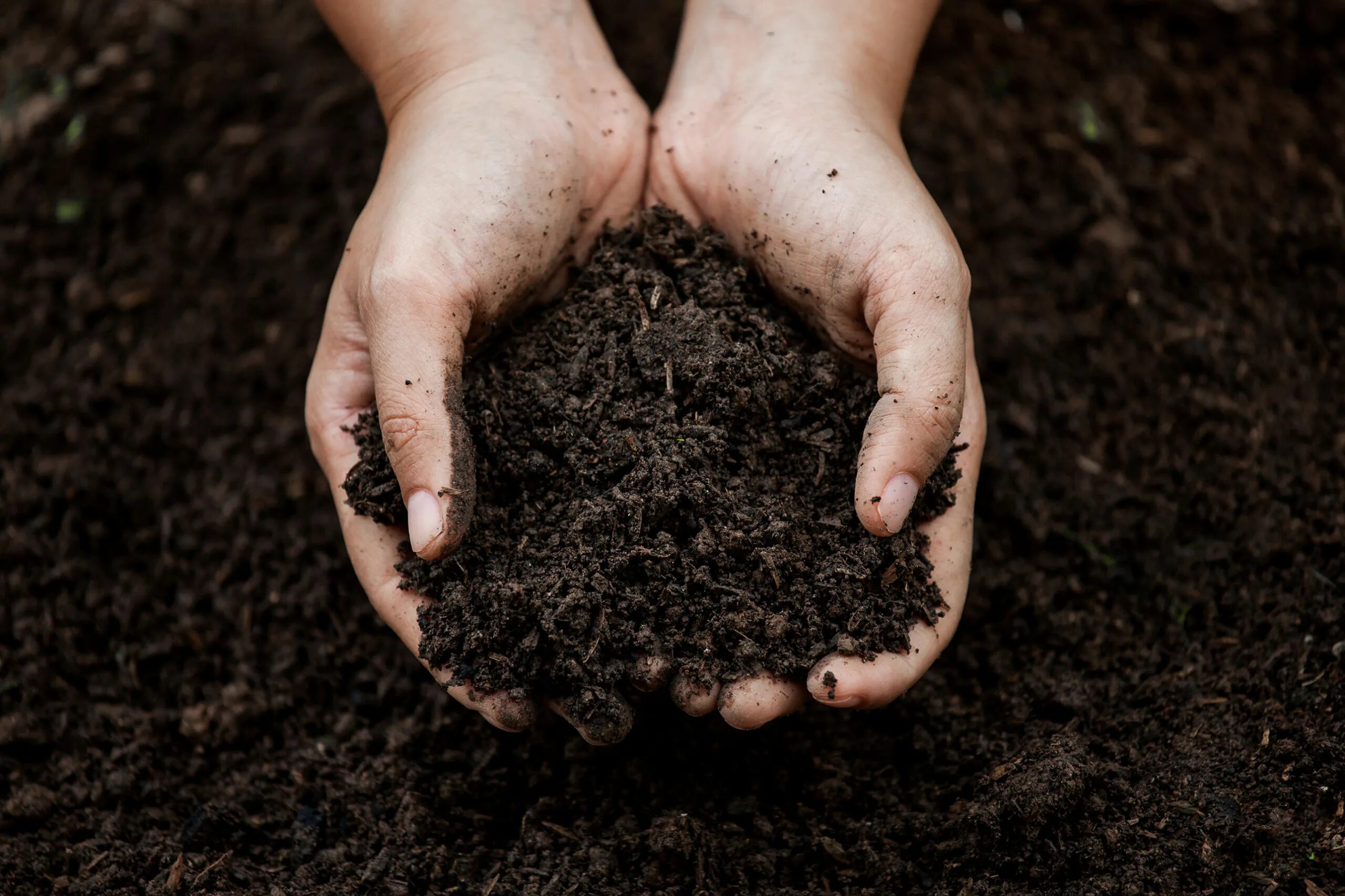 Заботящаяся почва. Почва. Грунт в руках. Почва в руках. Почва в ладонях.