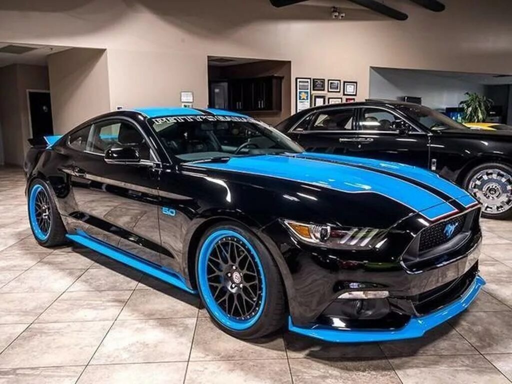 мустанг мозырь