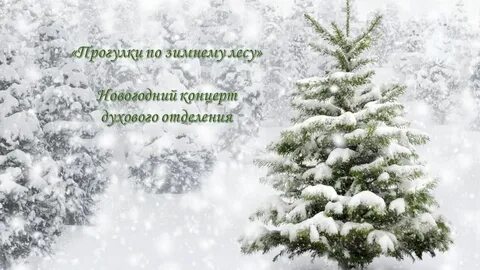Белые елки лес