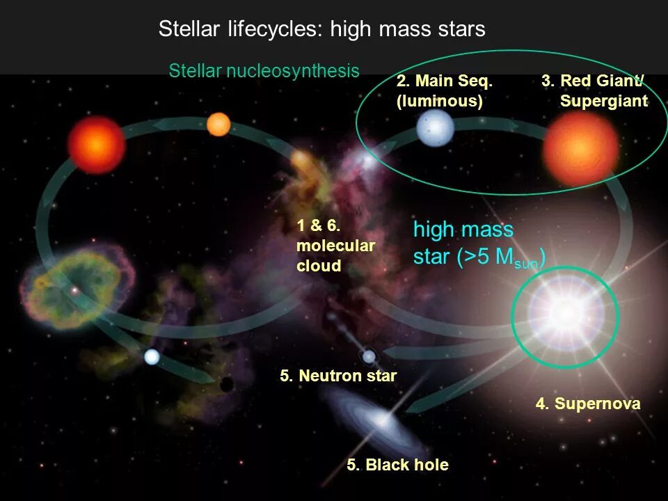 Цикл звезды. Star Lifecycle. Космопланетарная Эволюция. Stellar Lifecycle.