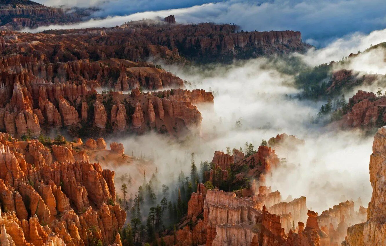 Какая природа в северной америке. Национальный парк Брайс-каньон США. Национальный парк Брайс-каньон, Юта, США. Национальный парк Брайс каньон Юта. Гранд каньон в США штат Юта.