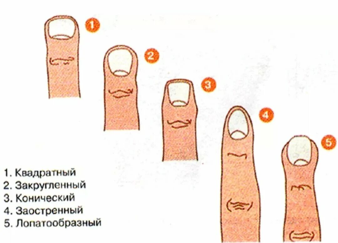 Палец другое значение