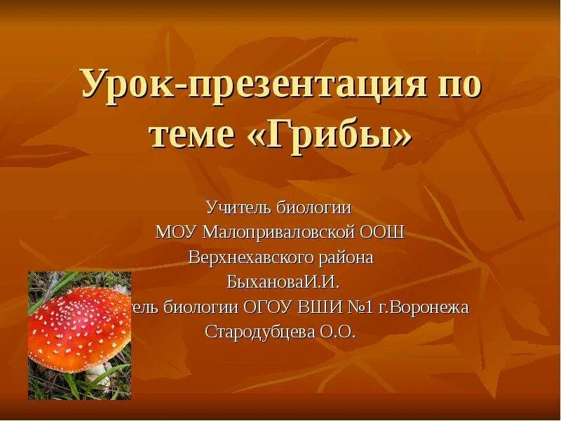 Проект по теме грибы 6 класс Сообщение-доклад на тему шляпочные грибы 5, 7 класс (описание для детей)