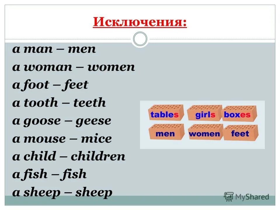 Слово тетрадь множественное число. Fish во множественном числе на английском. Foot множественное число в английском языке. Child множественное число. Fish множественное число исключения.