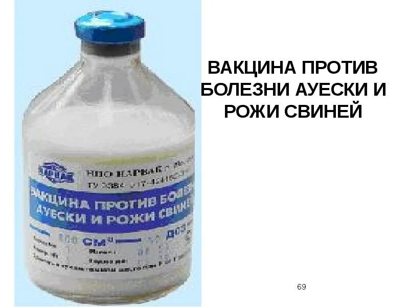 Вакцина против болезни Ауески. Вакцина против Ауески свиней. Препараты от Ауески для поросят. Вакцина против рожи свиней и Ауески.