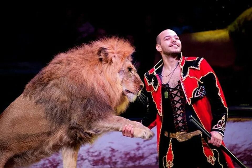 Став цирк. Цирк гии эрадзе 5 континентов. Государственный с тавропольскйц цирк. Артисты большого московского цирка. Братья акробаты из цирка гии эрадзе.