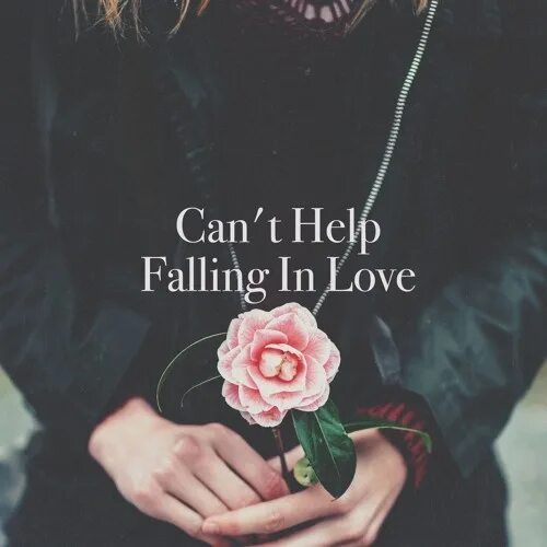 We can t help it. Can't help Falling. Can't help Falling in Love. Elvis Presley can't help Falling in Love. Cant Falling in Love.