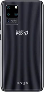Black fox 2