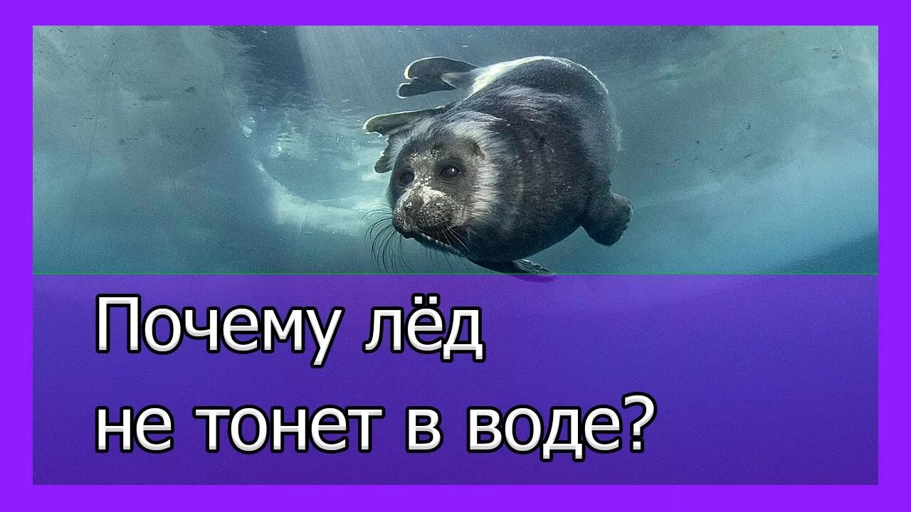 Почему вода не тонет. Лед не тонет. лед не тонет в воде. мы воде ледяной не тонем. лёд не тонет в воде потому что.