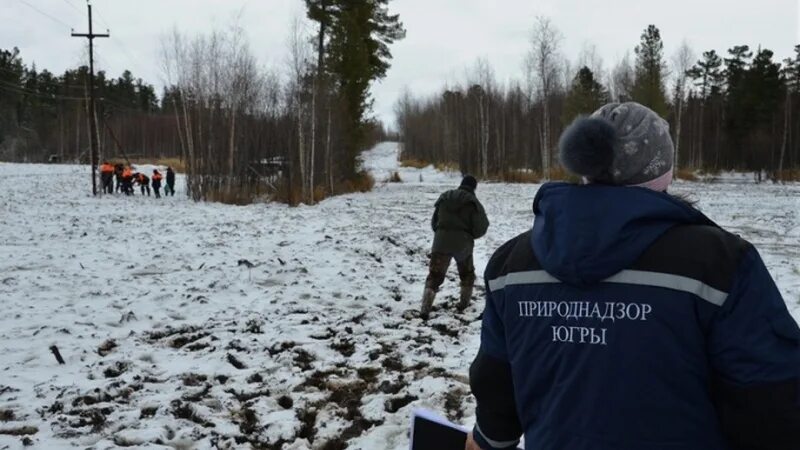 Роман мишенин росприроднадзор. Хмао признан росприроднадзор. Гээ росприроднадзор дорожная карта. Росприроднадзор ханты-мансийск. Хмао югра сайт росприроднадзор.