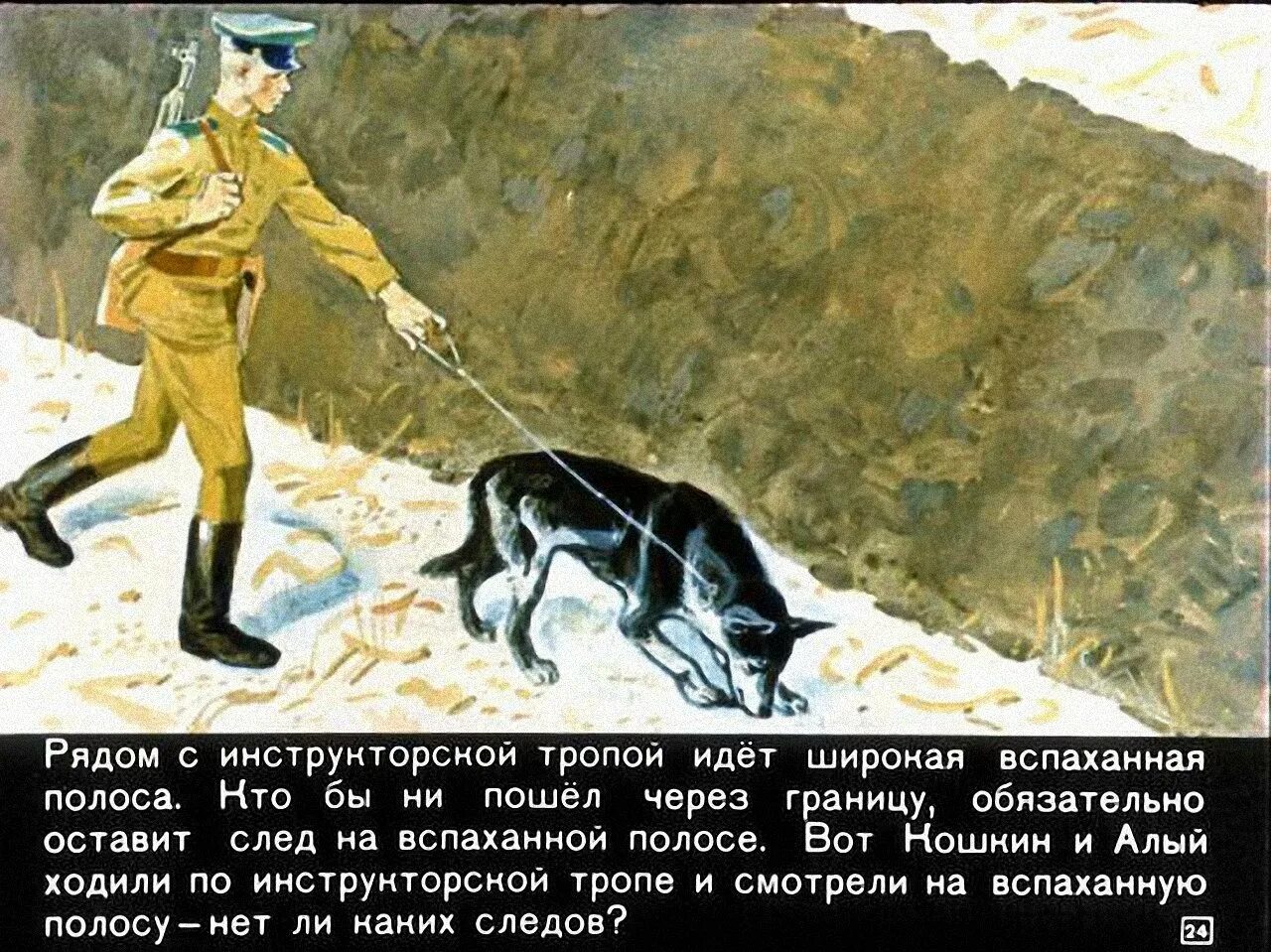 Рассказы о пограничниках. Рассказы о пограничниках