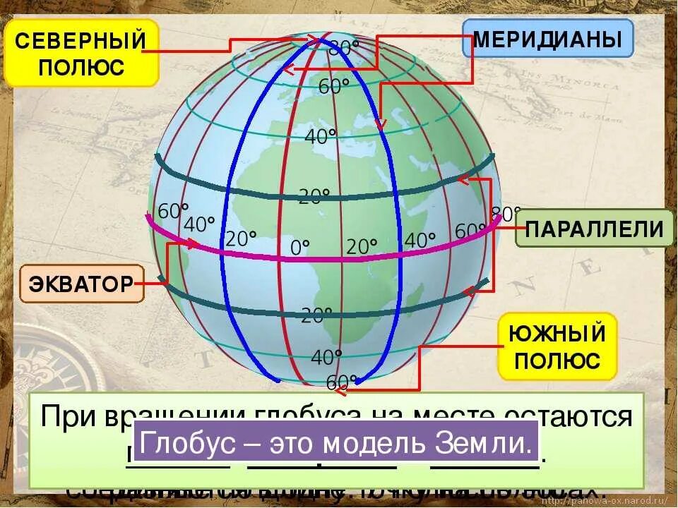Экватор Северный и Южный полюс. Меридиан параллель полюс Экватор на глобусе. Параллели и меридианы. Меридианы на глобусе.