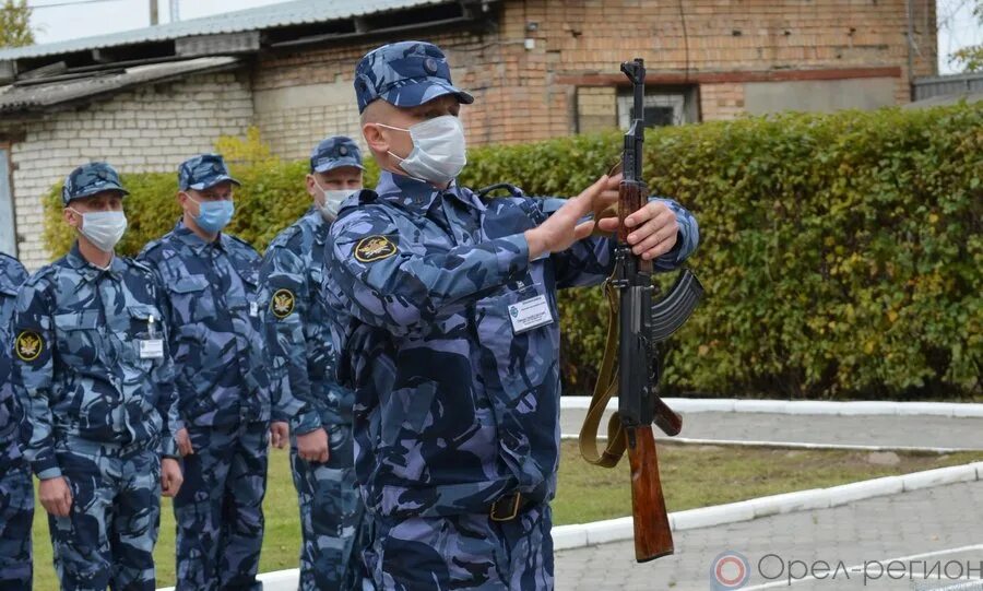 Волосевич Орел УФСИН. ФСИН России по Орловской области. Орлов ФСИН. Фсинет пополнить