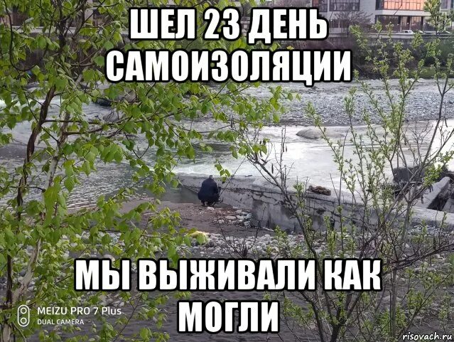 Шел 23. Шел третий день лета. шел первый день самоизоляции. шли третьи сутки мы выживали. выживаем как можем.