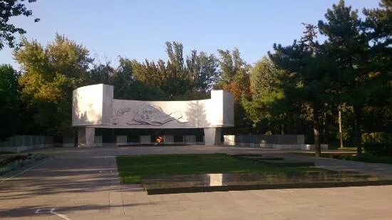 Пост номер 1 ростов на дону. Вечный огонь карла маркса ростов. площадь карла маркса вечный огонь. мемориал ростова на дону вечный огонь. вечный огонь на площади карла маркса ростов на дону.