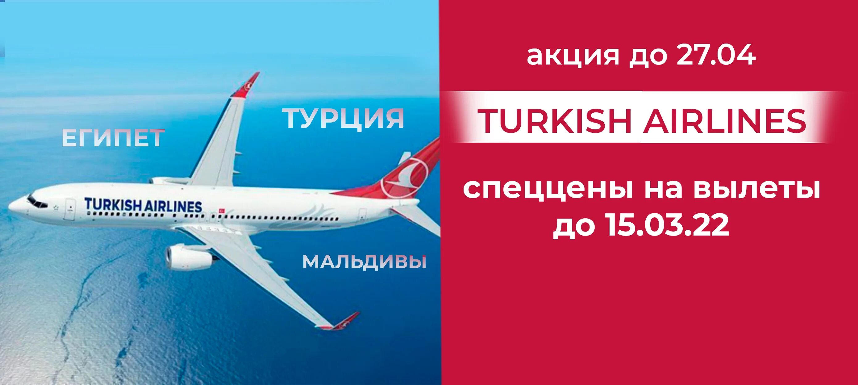 Turkish Airlines карта лояльности. Билет Туркиш Эйрлайнс. Turkish Airlines модель самолета. Карта Туркиш Эйрлайнс. Туркиш эйрлайнс купить авиабилеты на русском