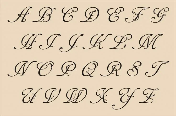 Класс Оформления Latin